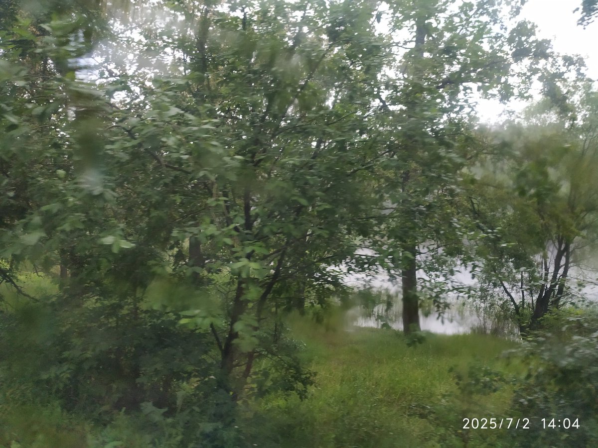 marlib456's tweet photo. По дороге в В... https://t.co/ZEiyTuwzXK