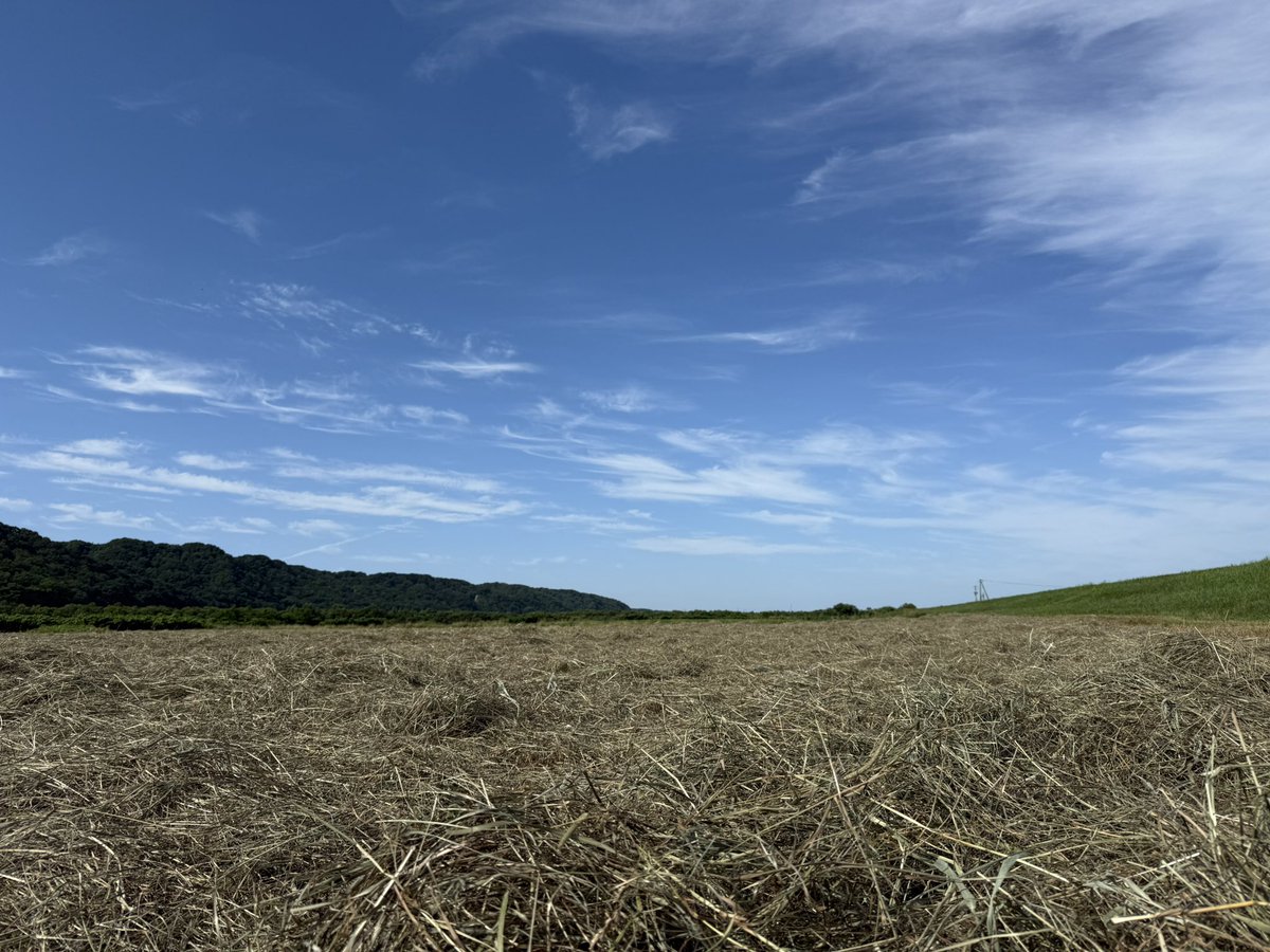 oumanobaketu's tweet image. 連日の30度超え☀️
今年は猛暑かな

午後からは牧草ロール作業
頑張るぞ