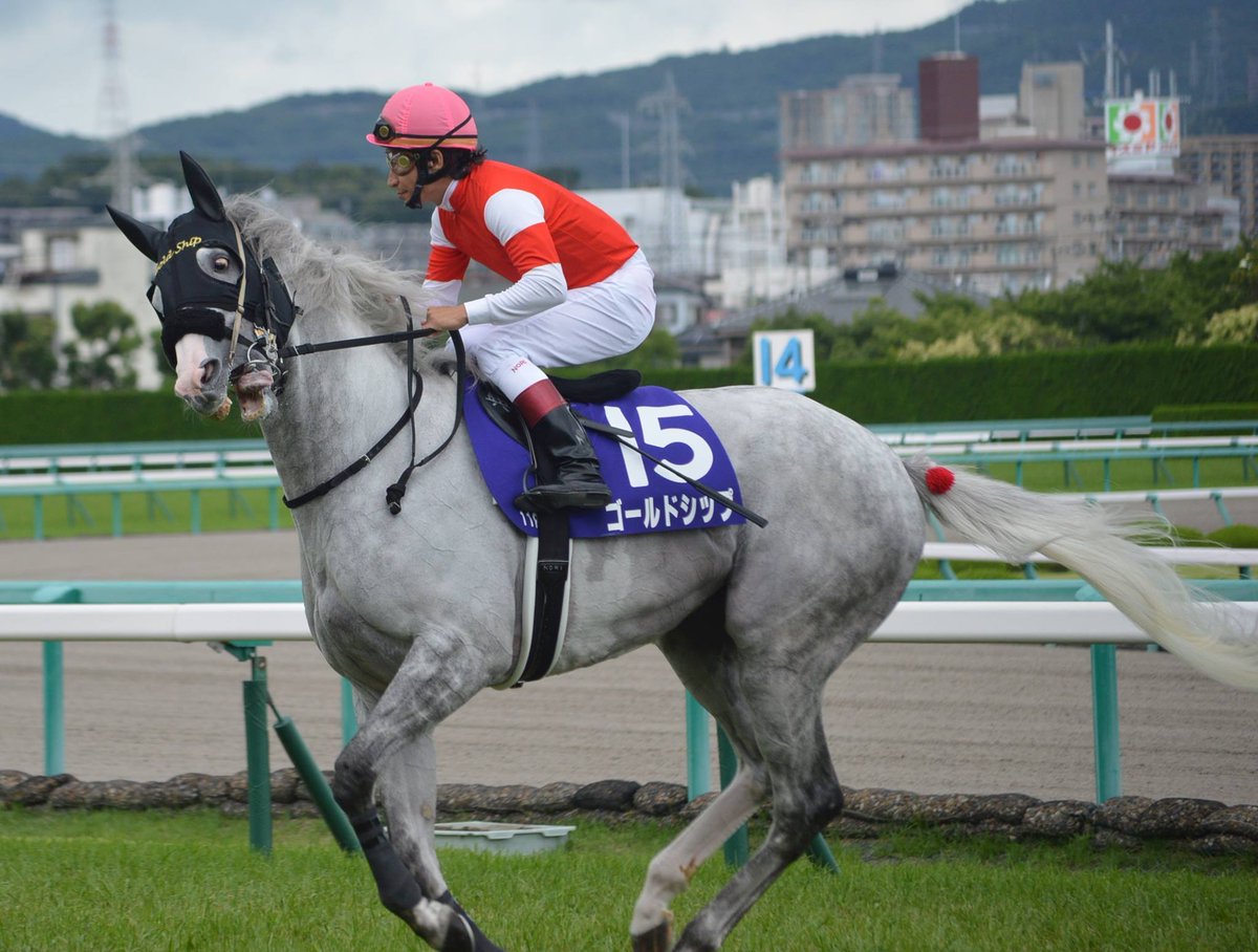 The warning signs were there just prior to the running of the infamous 2015 Takarazuka Kinen, the race where #GoldShip failed to jump with the field as the 1.9 favourite... 

More from his collection of weird and wonderful expressions! 🤪

#umamusume #ウマ娘 #ゴールドシップ
