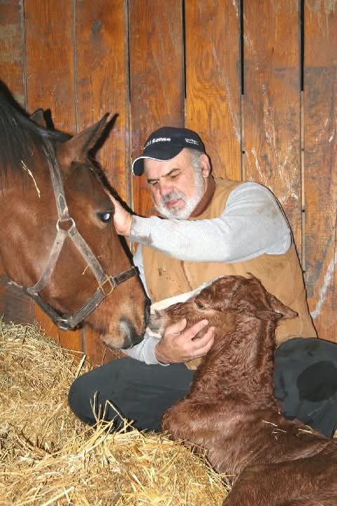 De cumpleaños del Dr. Oscar Benavides, te deseo mucha salud y ganas de seguir gozando la vida. Un gran abrazo! 🍻
<a href="/Montesacrofarm/">Oscar Benavides</a> 
Foto: La campeona Bambera y su potro recien nacido por Curlin