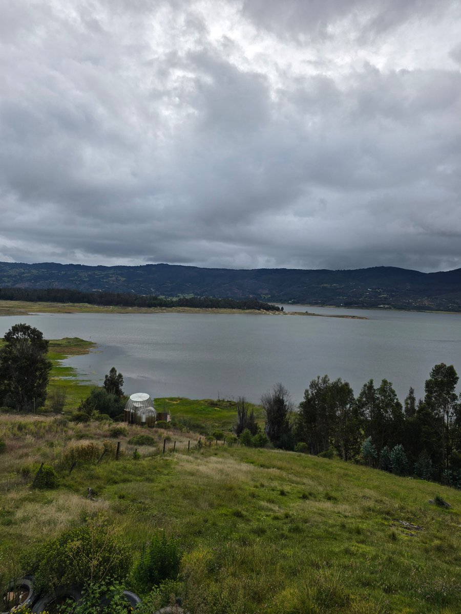 Contreraspl_'s tweet photo. Majestuosidad🇨🇴 https://t.co/wDYusjvDcg