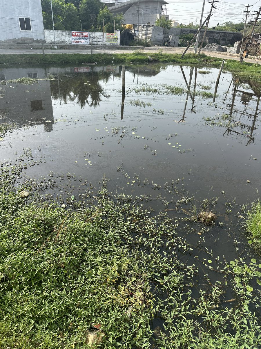 PeerMhd87's tweet photo. Water stagnant in Vasantham Nagar Avadi which leads to produce Dengu mosquitos and dengu fever.. Pls take necessary action @avadi_corpn @avadiupdates @TiruvallurCollr @CMDA_Official @NasarAvadi https://t.co/qOr4gNsCMd