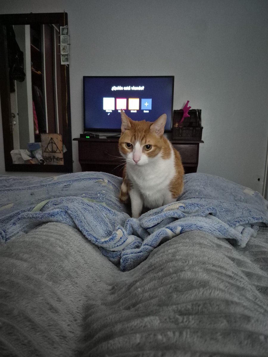 Juana🌟🌟🌟 tweet media