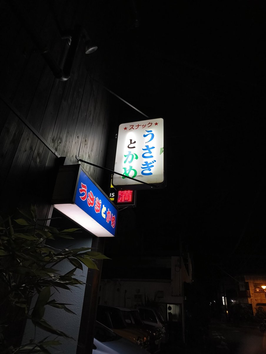 奄美行ったよ〜