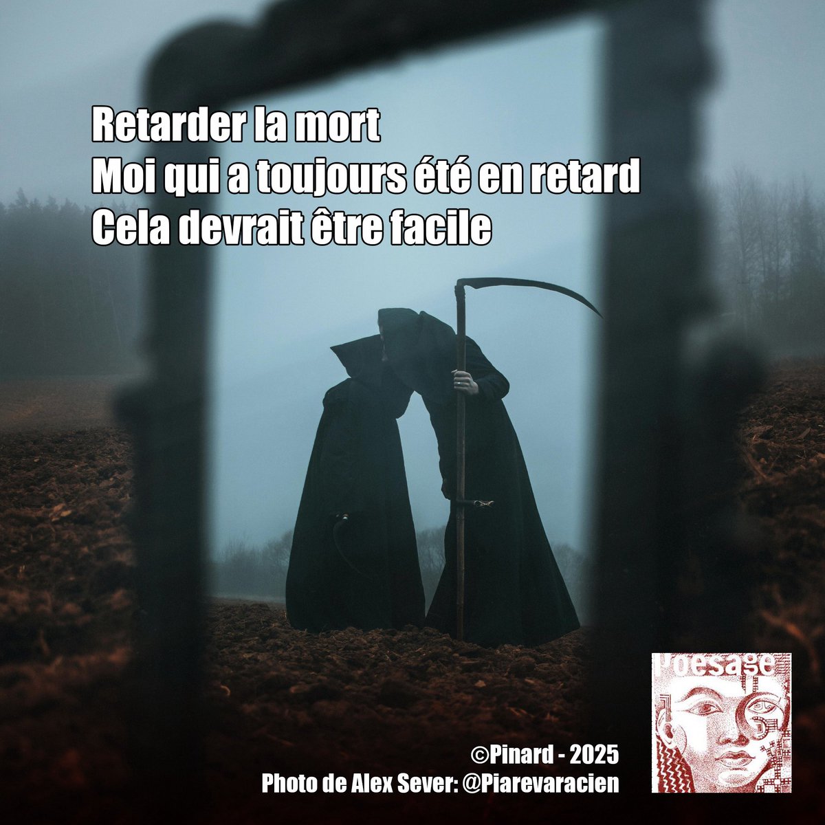 poesage_27's tweet photo. Retarder la mort 
Moi qui a toujours été en retard 
Cela devrait être facile

©Pinard - 2025
Photo de Alex Sever: @Piarevaracien

#mort #retard #retarder #ponctuel #ponctualite #mort #facile #decaler
#poet #poeme #poem #poesie #poetry #poesieengagee   #ecriture #writing https://t.co/DkkeGUUyE2