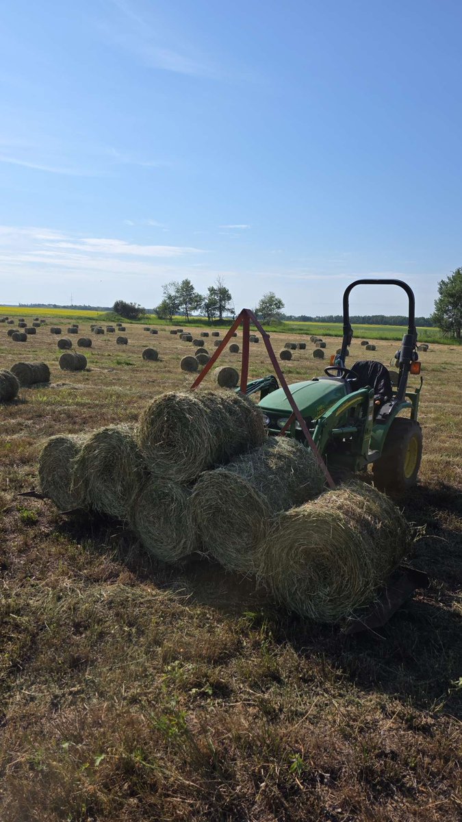 sdjmaxwell's tweet image. Cut and baled 300 mini round bales for no better reason than we had a small plot of land & the seed, and wanted to make use of it.
Very easy to see why the ol' boys and girls were all in such good shape, working hard to feed their flock and their families continually!
#Respect