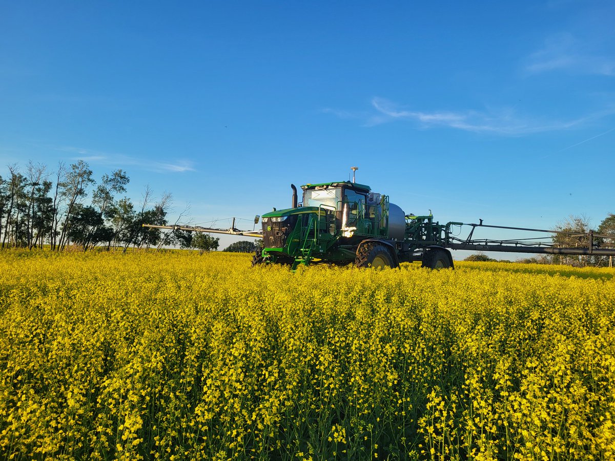 lukehofer15's tweet photo. Doin Some Fungicide Application, On Some Nice Tall Standing Canola!! #JohnDeere https://t.co/Q80Fd3mwjP