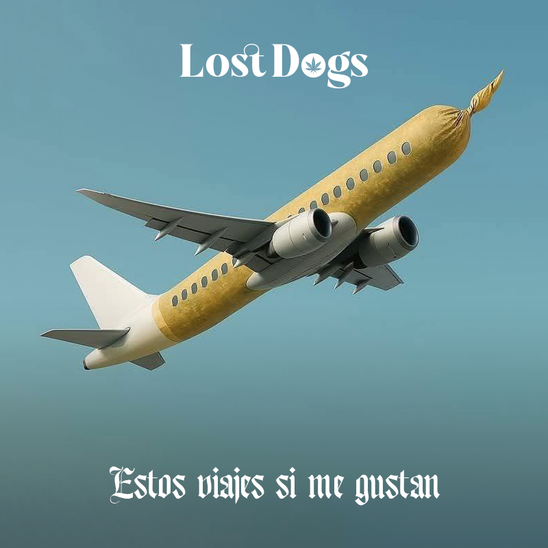 lostdogsoficial's tweet image. Suben! #merch #puertovallarta #weed 
Whatsapp: 322 110 0618 Envíos a todo México.   
 wa.me/3221100618