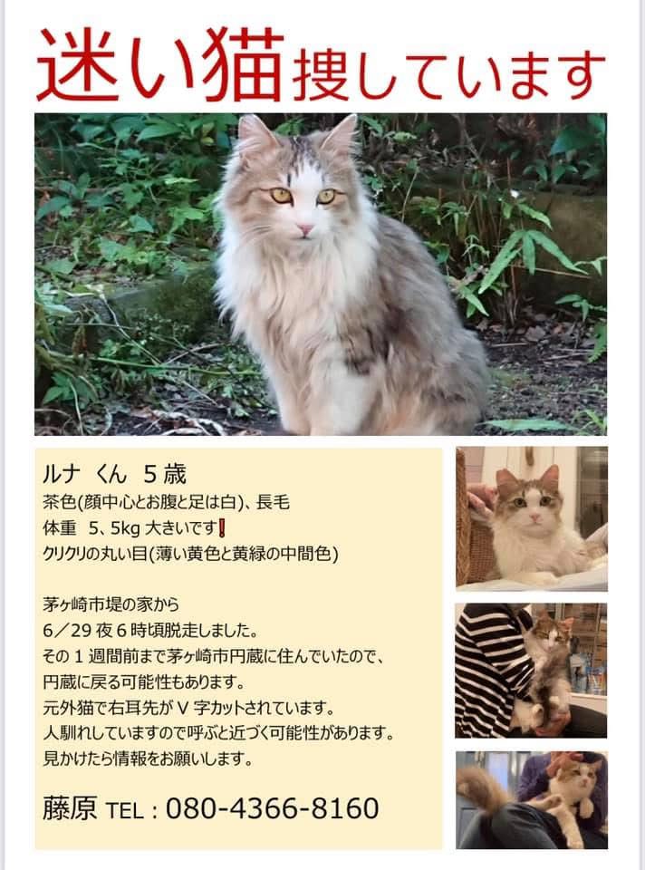 kurochan5110 (@kurochan_5110) on Twitter photo 