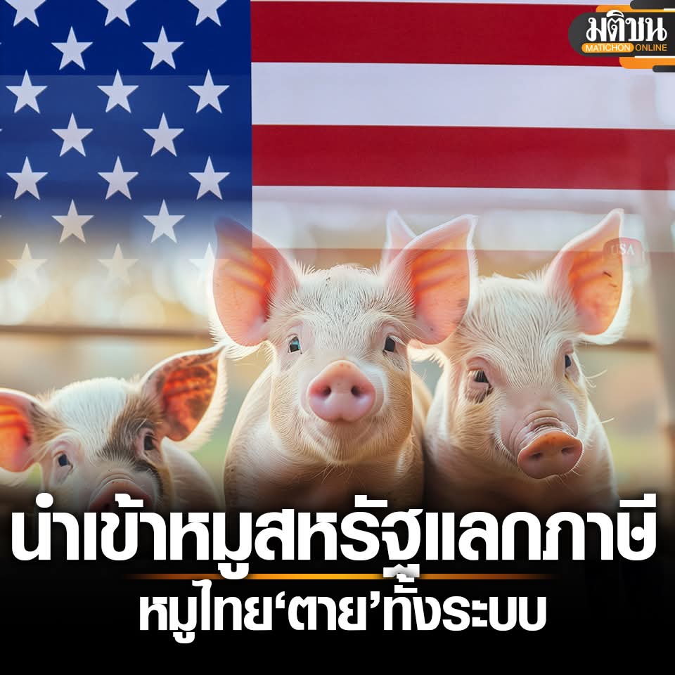 ฮ.นกฮูก(สีส้ม) tweet media