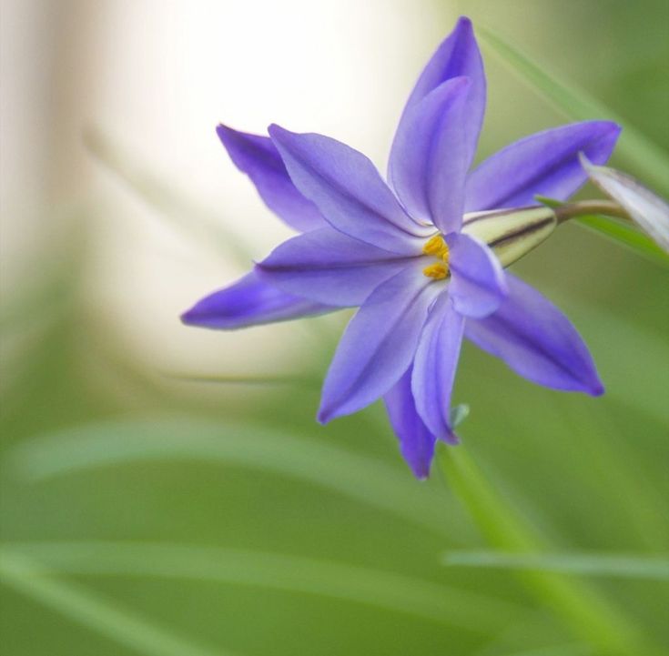 .
.

#𝔅𝔦𝔰𝔪𝔦𝔩𝔩𝔞𝔥𝔦𝔯𝔯𝔞𝔥𝔪𝔞𝔫𝔦𝔯𝔯𝔞𝔥𝔦𝔪
.
.
#HayırlıSabahlar