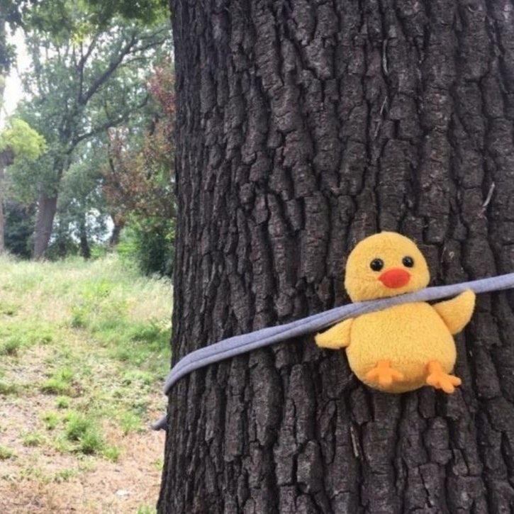 1004moolzugi's tweet image. 더.더.덕이..?