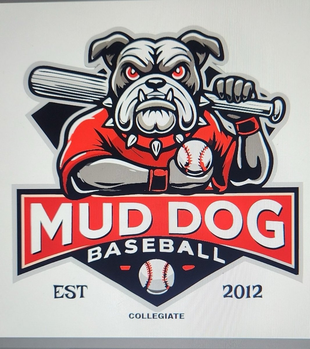 muddogbaseball tweet media