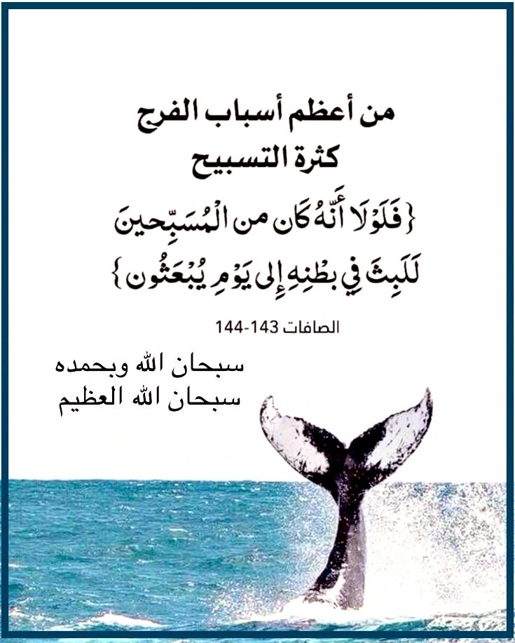 سبحان الله وبحمده..🦋