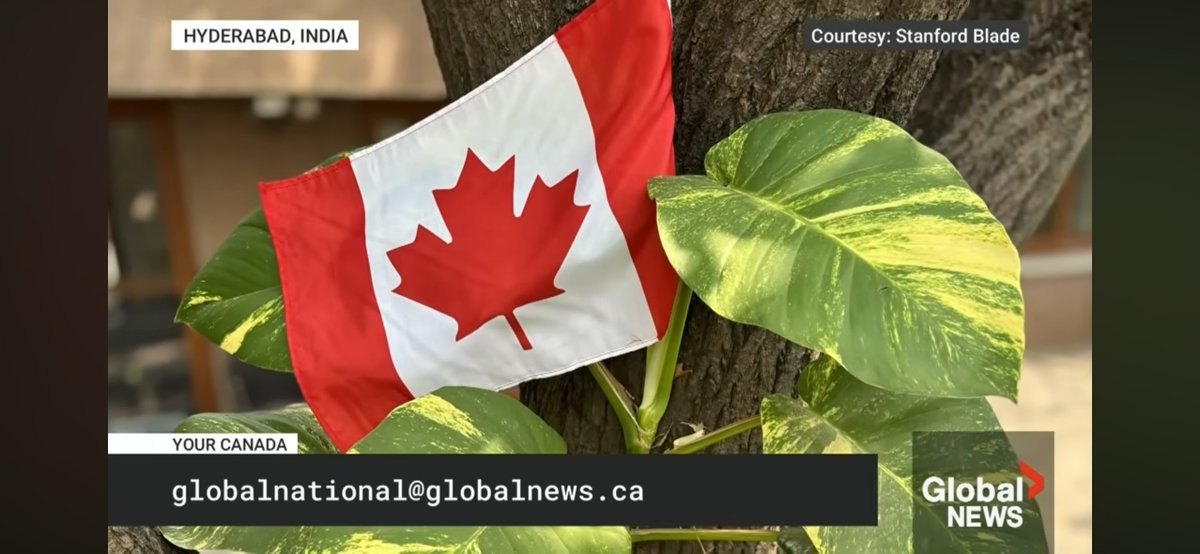 Stanford F. Blade, PhD KSLA 🇨🇦 (@drstanfordblade) on Twitter photo Nice to see my Canada flag 🇨🇦 image featured on <a href="/GlobalNational/">Global National</a> tonight. Thanks <a href="/DFriesenGlobal/">Dawna Friesen</a> for showcasing international pics on the <a href="/GlobalTV/">Global TV</a> closing segment! #Canada Nice to see my Canada flag 🇨🇦 image featured on <a href="/GlobalNational/">Global National</a> tonight. Thanks <a href="/DFriesenGlobal/">Dawna Friesen</a> for showcasing international pics on the <a href="/GlobalTV/">Global TV</a> closing segment! #Canada