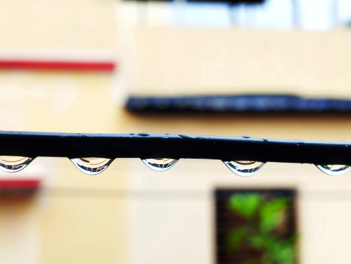 Agnivo Niyogi (অগ্নিভ নিয়োগী) (@aagan86) on Twitter photo বিরস দিন... বিরস দিন...