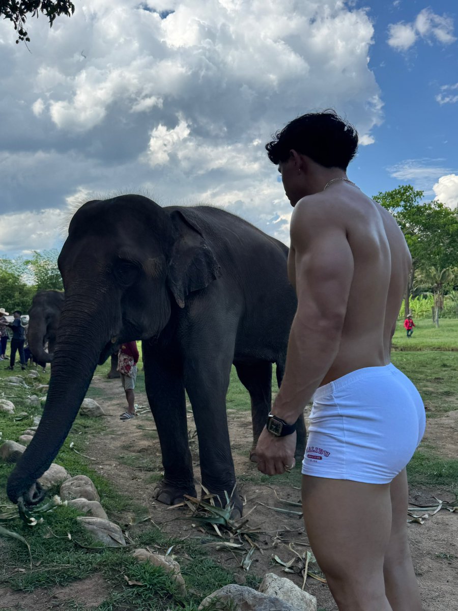 onlyfans.com/renegonzalezz