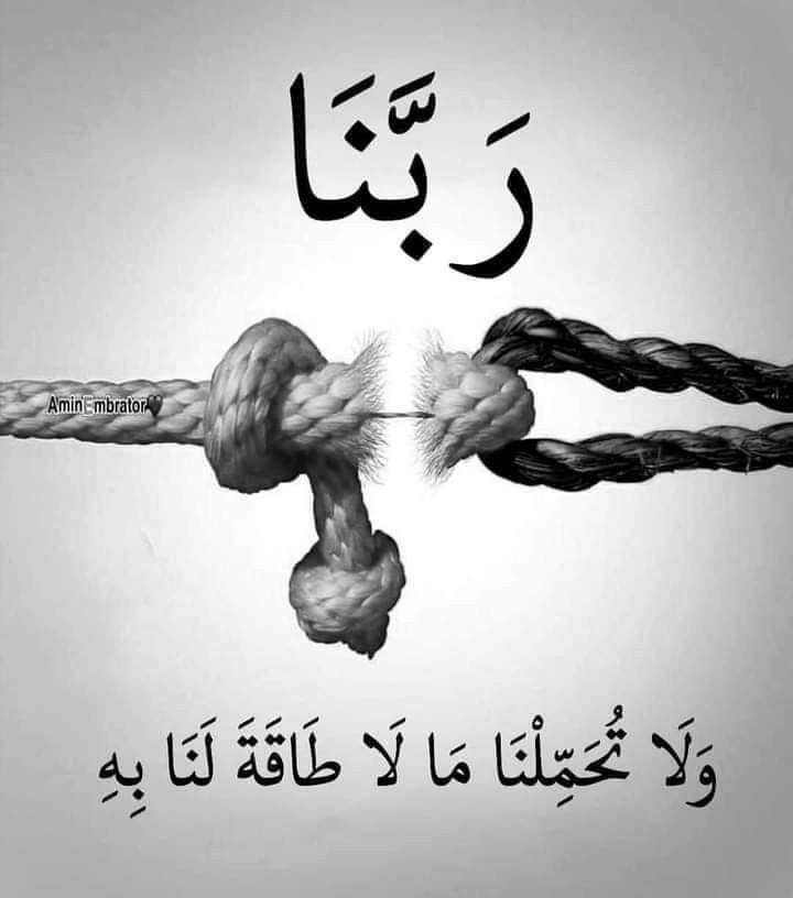 #غزة،،،
