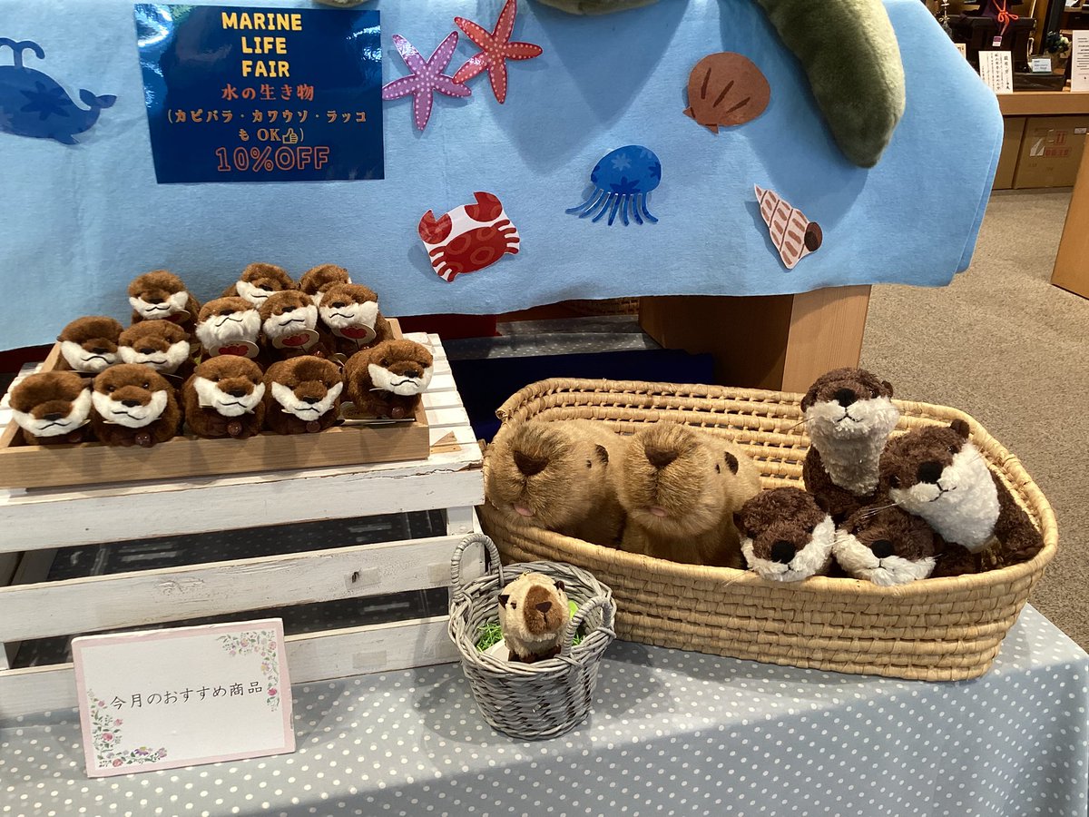 ystk_official's tweet image. 【浅草橋本店】
7/7(月)〜8/31(日)までサマーセール開催中です🏖️
水の生き物のぬいぐるみが10%OFF🐧🐢🦭🌟
暑い日が続きますが、涼しげな水辺の仲間たちにぜひ会いに来てくださいね🏝️

営業時間9:30〜17:15

＃吉徳　#浅草橋　#ぬいぐるみ　#海　＃マリン　#水族館　#夏