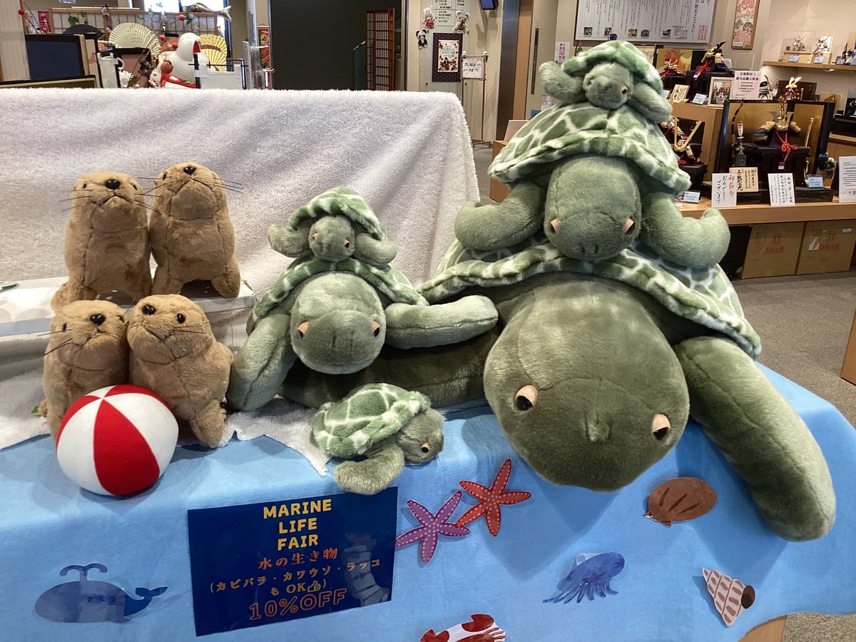 ystk_official's tweet image. 【浅草橋本店】
7/7(月)〜8/31(日)までサマーセール開催中です🏖️
水の生き物のぬいぐるみが10%OFF🐧🐢🦭🌟
暑い日が続きますが、涼しげな水辺の仲間たちにぜひ会いに来てくださいね🏝️

営業時間9:30〜17:15

＃吉徳　#浅草橋　#ぬいぐるみ　#海　＃マリン　#水族館　#夏