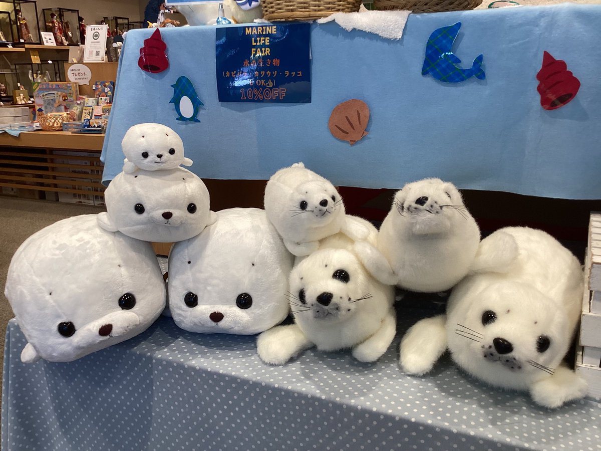 ystk_official's tweet image. 【浅草橋本店】
7/7(月)〜8/31(日)までサマーセール開催中です🏖️
水の生き物のぬいぐるみが10%OFF🐧🐢🦭🌟
暑い日が続きますが、涼しげな水辺の仲間たちにぜひ会いに来てくださいね🏝️

営業時間9:30〜17:15

＃吉徳　#浅草橋　#ぬいぐるみ　#海　＃マリン　#水族館　#夏