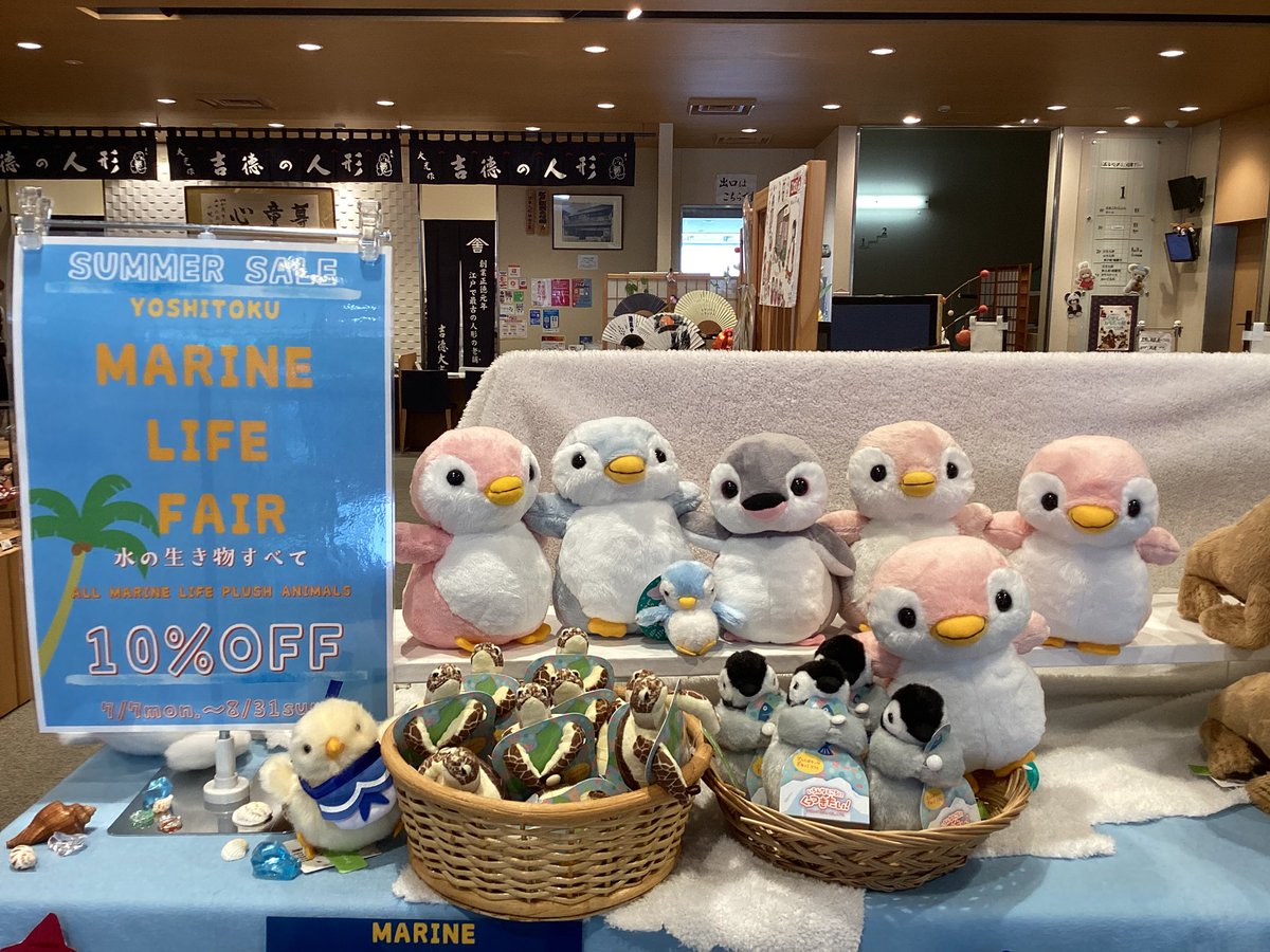 ystk_official's tweet image. 【浅草橋本店】
7/7(月)〜8/31(日)までサマーセール開催中です🏖️
水の生き物のぬいぐるみが10%OFF🐧🐢🦭🌟
暑い日が続きますが、涼しげな水辺の仲間たちにぜひ会いに来てくださいね🏝️

営業時間9:30〜17:15

＃吉徳　#浅草橋　#ぬいぐるみ　#海　＃マリン　#水族館　#夏