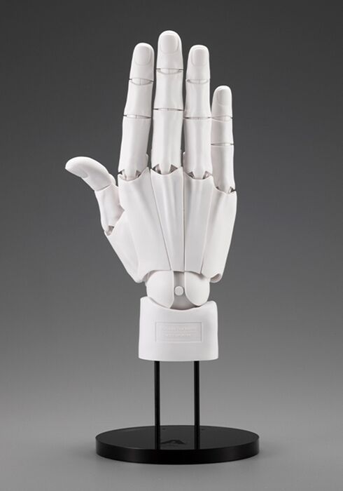 CDJapan's tweet image. Newly Arrived [ARTIST SUPPORT ITEM Hand Model MEN'S/R -WHITE-] Pre-order Started!  bit.ly/405BuCu #ARTISTSUPPORTITEM #HandModel #MENSR #WHITE #cdjapan