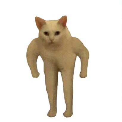 solstani's tweet image. 