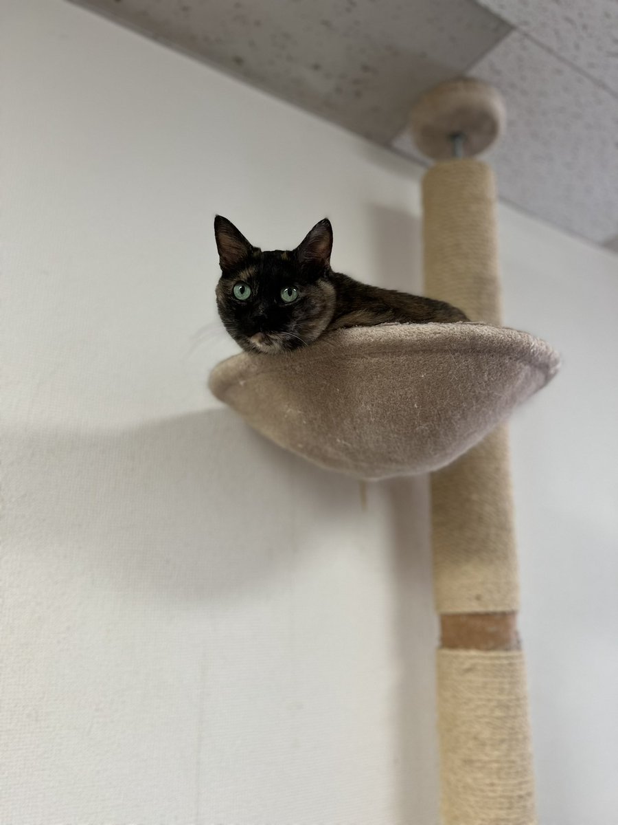 vajiminnt's tweet image. 7/8(火) 今日の1枚をパシャリ✨
本日も職場体験で来ている生徒さんが撮影です
いつもでしたら店休日の今日ですが、営業しておりますー
この機会にでもぜひご来店ください♪