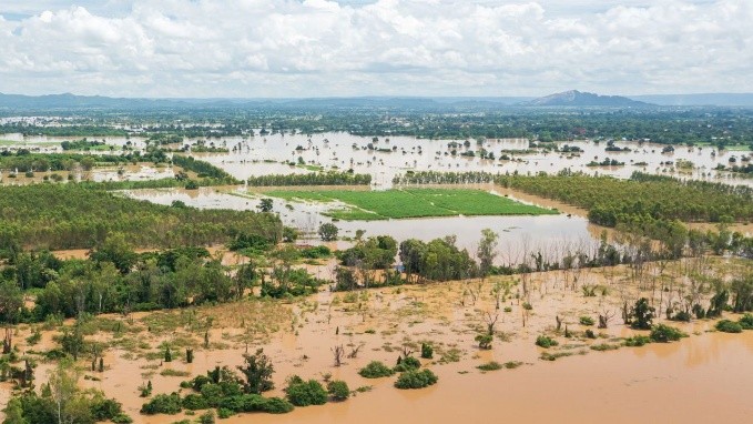 Prince Mishra tweet media