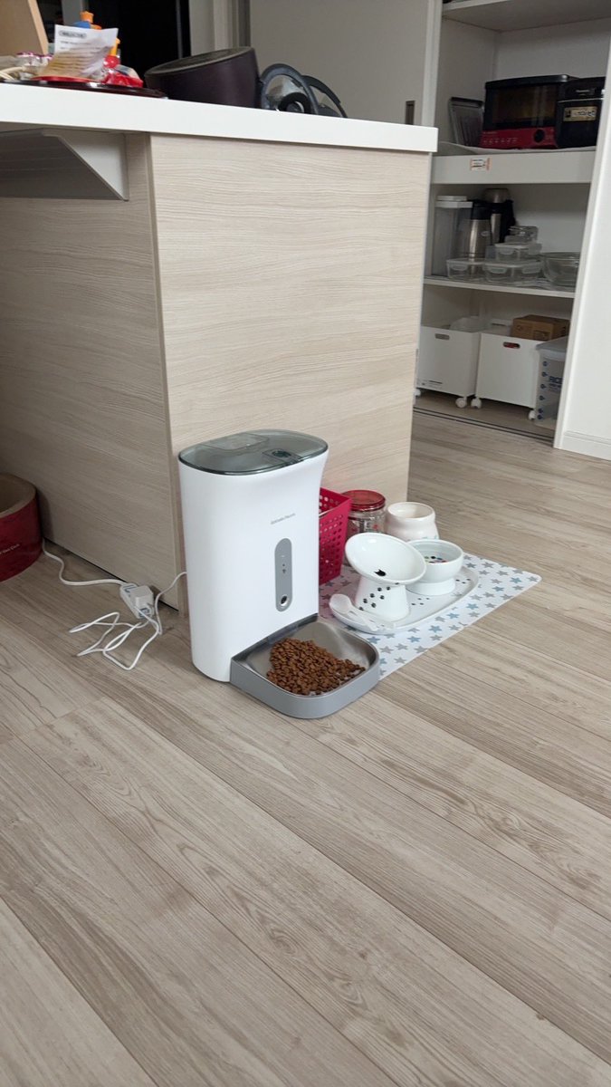 ねっこのエサを遠隔で与えられるようになり、食べてる様子をカメラで見れるらしい。俺は遠隔で猫を飼っている