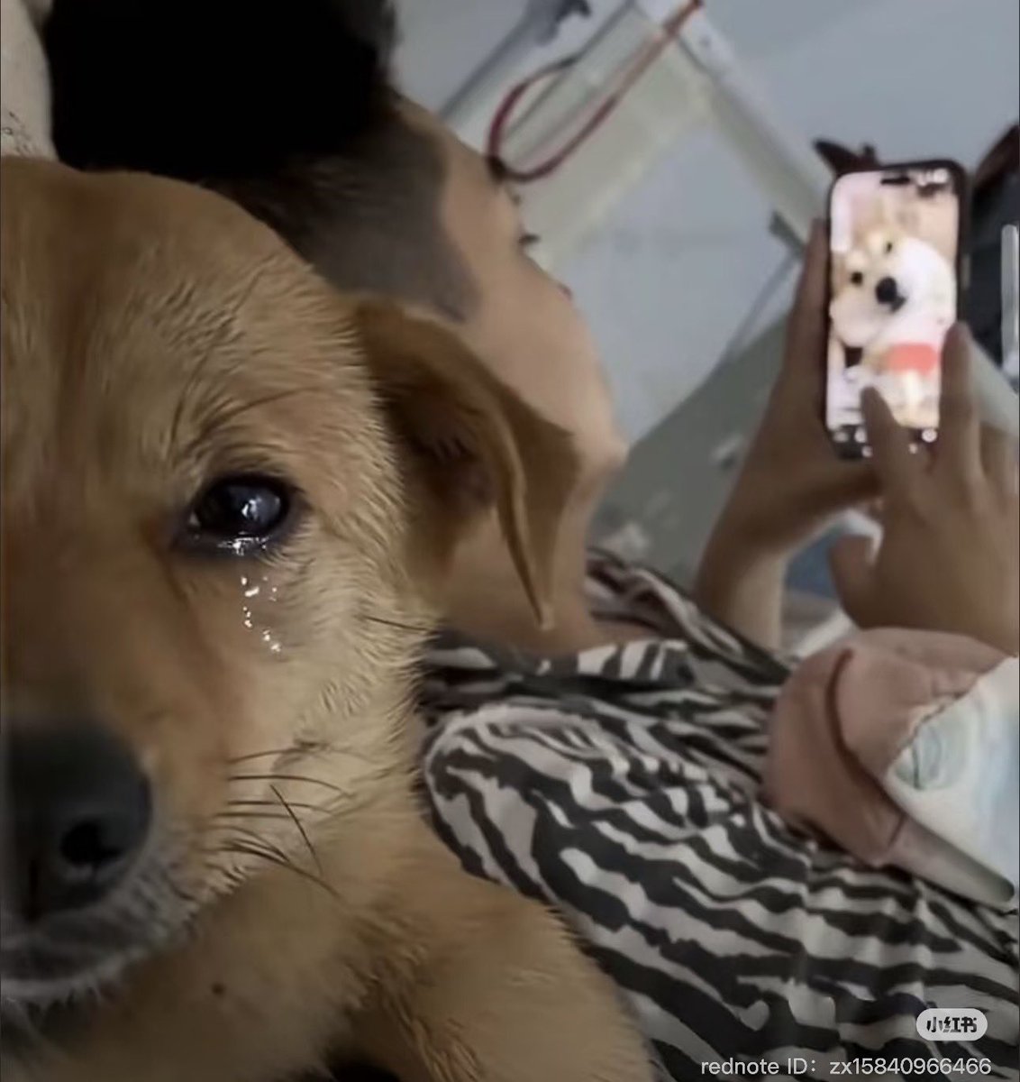 もう別れたほうがいいカップル大体これ。