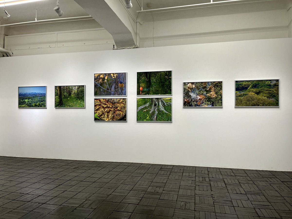 本日も19時までオープンしております。
会場では特注の作品ポートフォリオBOXも展示中！
ご来場お待ちしております。

畑 祥雄 HATA Yoshio 写真展（京都巡回展）
「奇跡の森 EXPO ’70」
2025/07/13まで
同時代ギャラリー
dohjidai.com/gallery/exhibi…