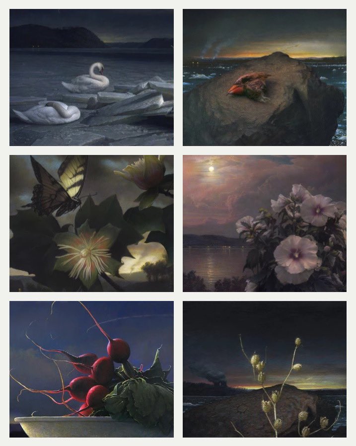robevans_art's tweet image. The first collection I minted in this space was “Wunderkammer” on Foundation. It was exhibited in 2022 at Monolith Gallery curated by @lifeofc Many of these 1/1 digitally painted works are still available on @foundation