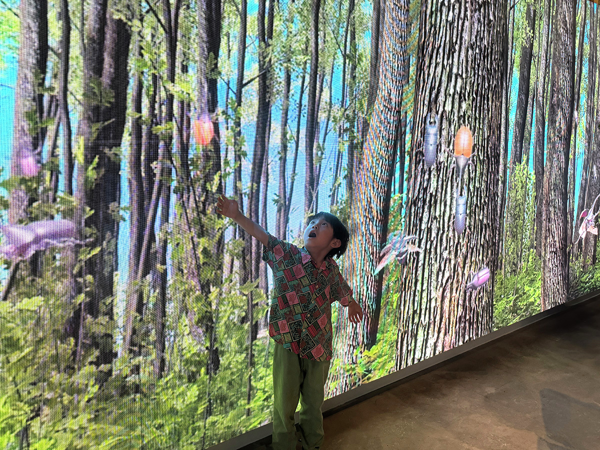 joypolis_event's tweet image. #カブクワ台場 🌳
デックス東京ビーチの
シーサイドモール3階で開催中🤩
ふれあいの森がある「LED DAIBA STUDIO」の
会場では壁一面に昆虫の森が！🌳🌳🌳
朝、昼、夕方などそれぞれの雰囲気が楽しめます😍
虫の声🪲の違いも聞いてみてね
8月31日まで開催中🙆
tokyo-joypolis.com/event/fureaino…
#ジョイポリス