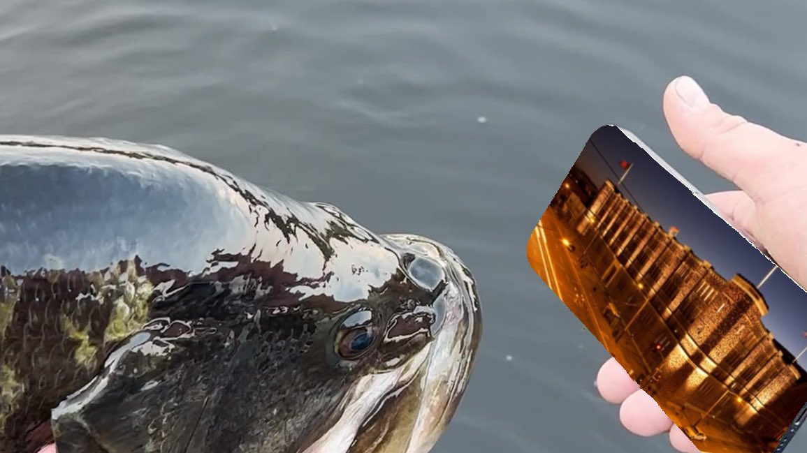 made this dumb fish I caught watch real cinema