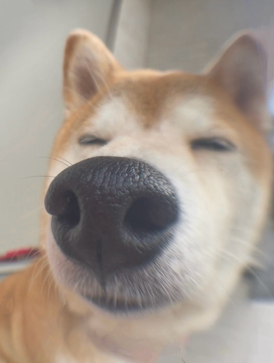 キ……キス待ちってことでいい？