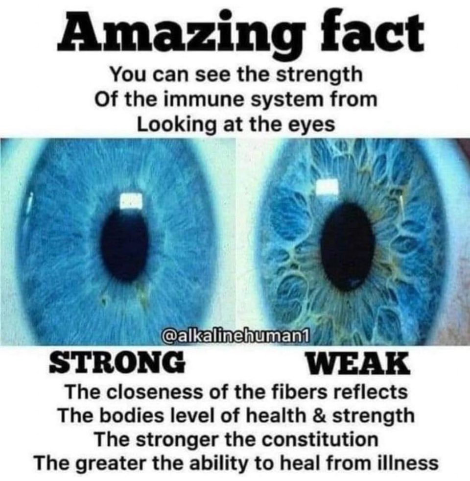 👁️ The Eyes Are the Window 🪟 To the Soul 😇