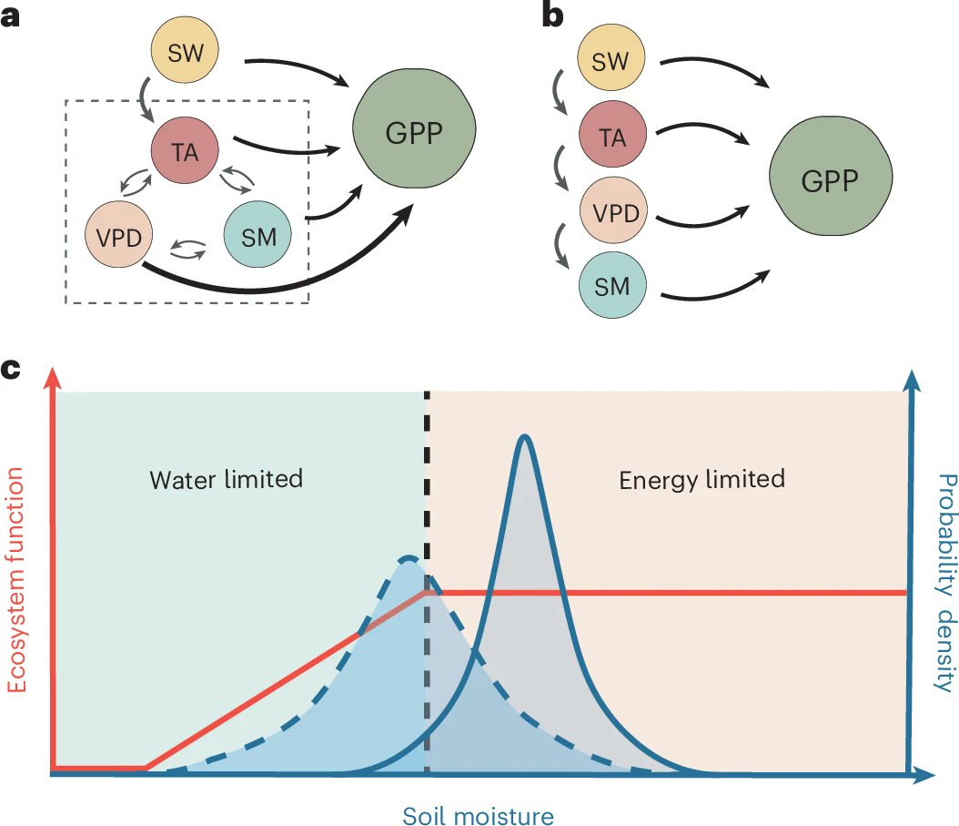 NaturePlants's tweet image. New Article: "When and where soil dryness matters to ecosystem photosynthesis" rdcu.be/evfGV
A causality-guided explainable AI framework shows soil moisture dominates vapour pressure deficit in shaping global photosynthesis during water-limited conditions.