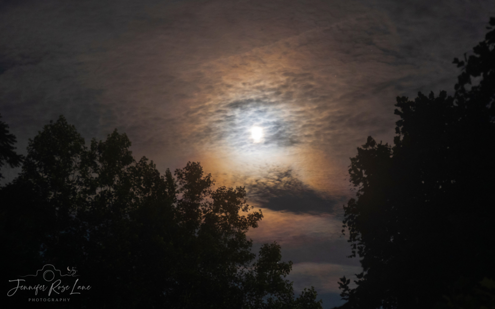 Jens_Starry_Sky's tweet image. "The moon dances with me the way the sun never will." 🌔💕 #TheMoon #moonlight #cloudymoon @ThePhotoHour @MoonHourSocial @WSAZBrandon @SpencerWeather