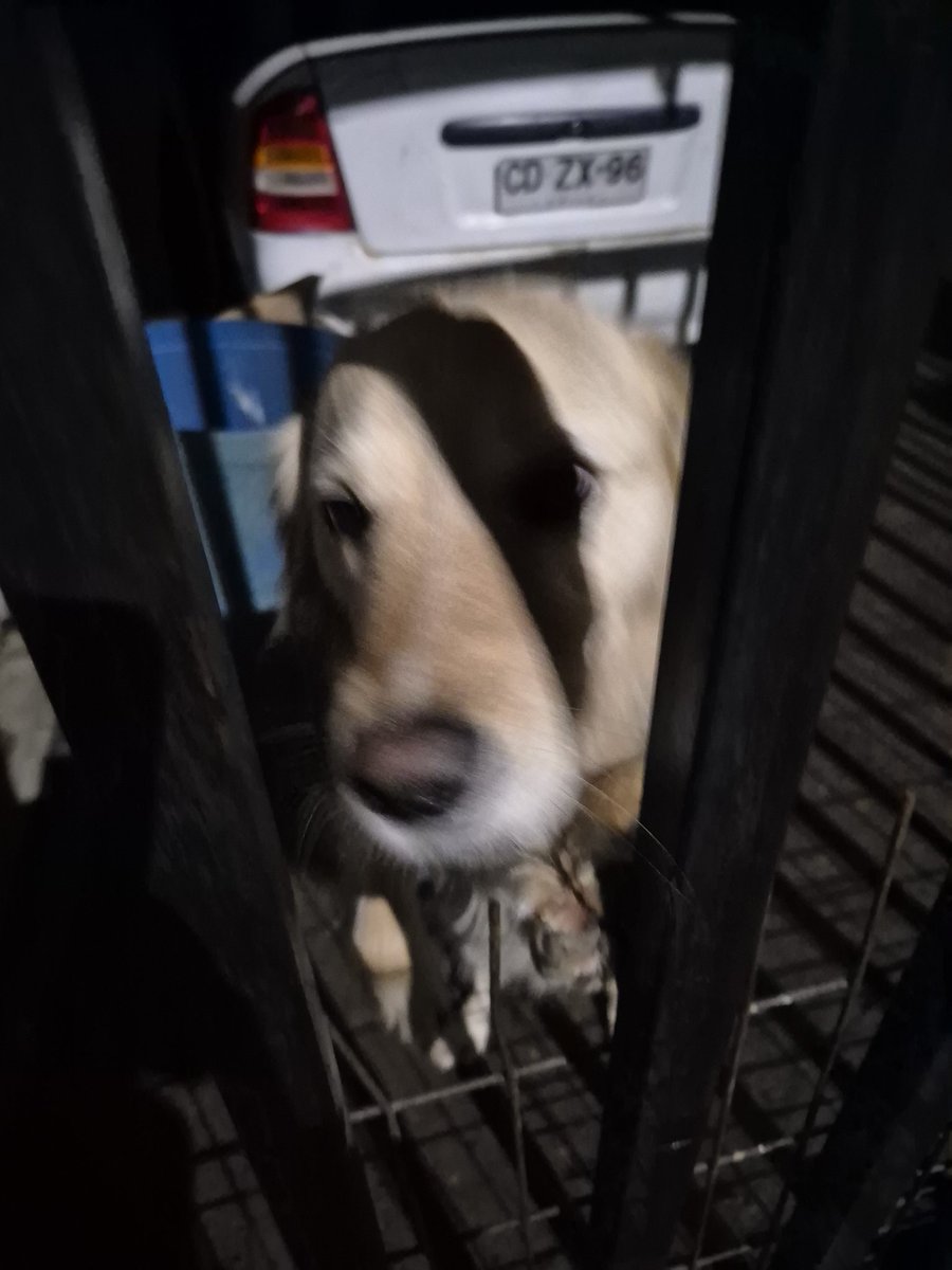 Devuelta a la chamba. 🫡❤️