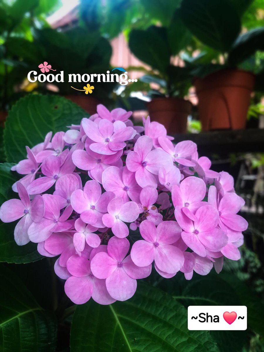 ❤️🌸🫶🌸❤️
Ümit, duâ halidir...🤲

youtube.com/shorts/OYeq-CL…

🇲🇾❤️~😘💞