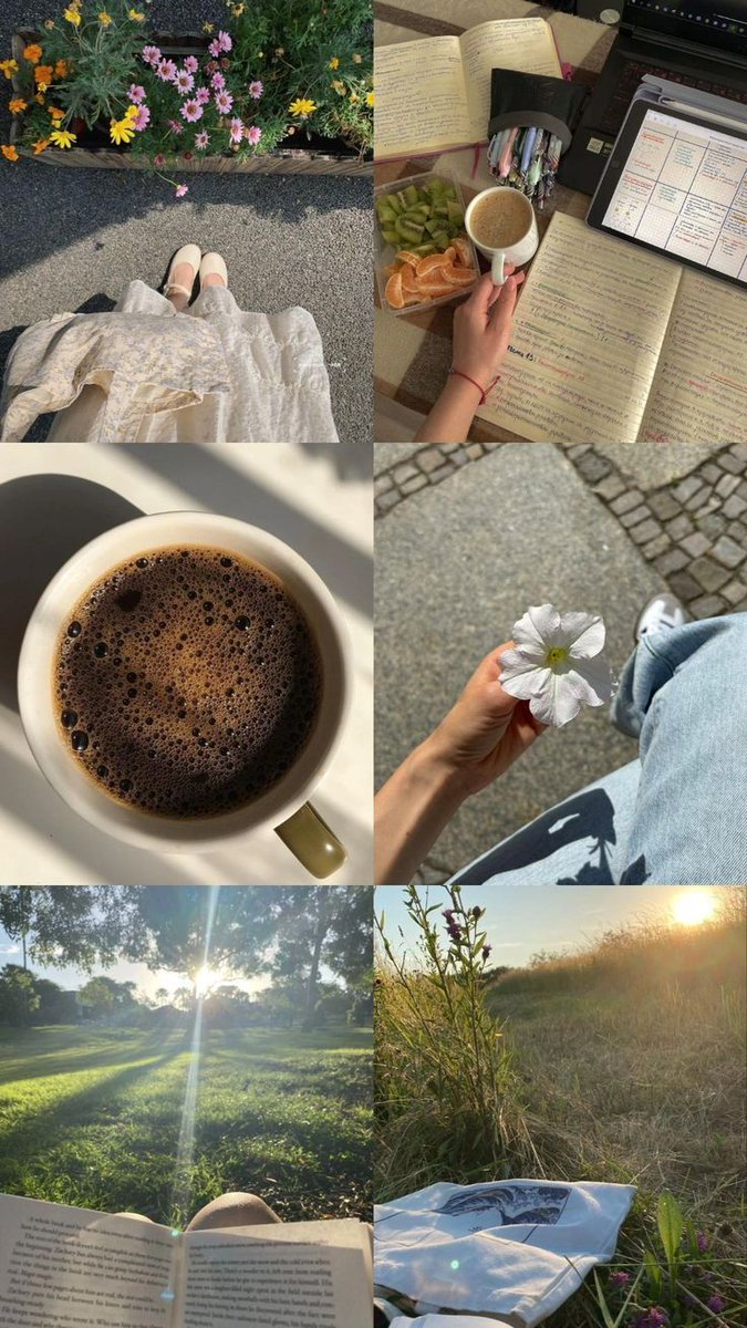 Every morning is a new beginning. Take a deep breath, smile, and start again! ❤️🌼

GM! ☀️🌻