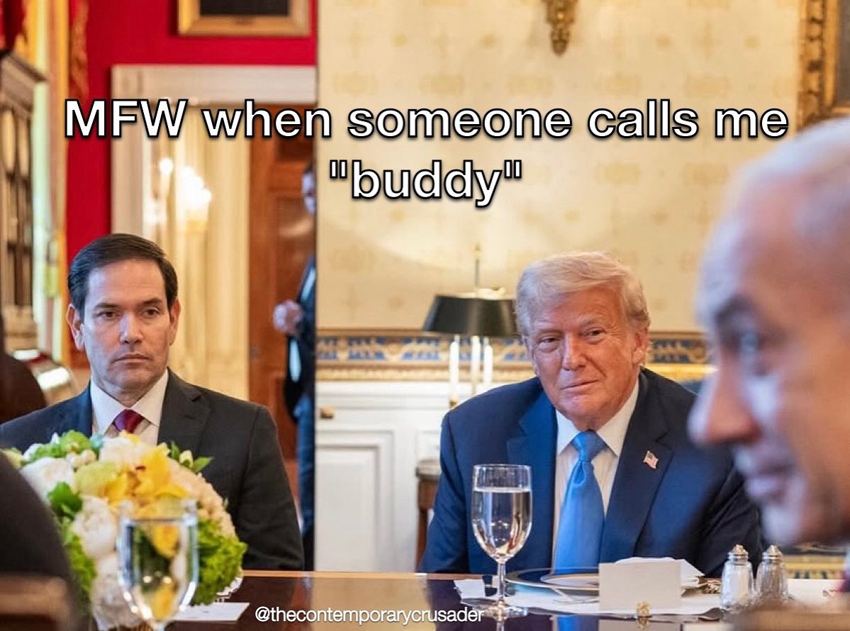 ContempCrusader's tweet image. 