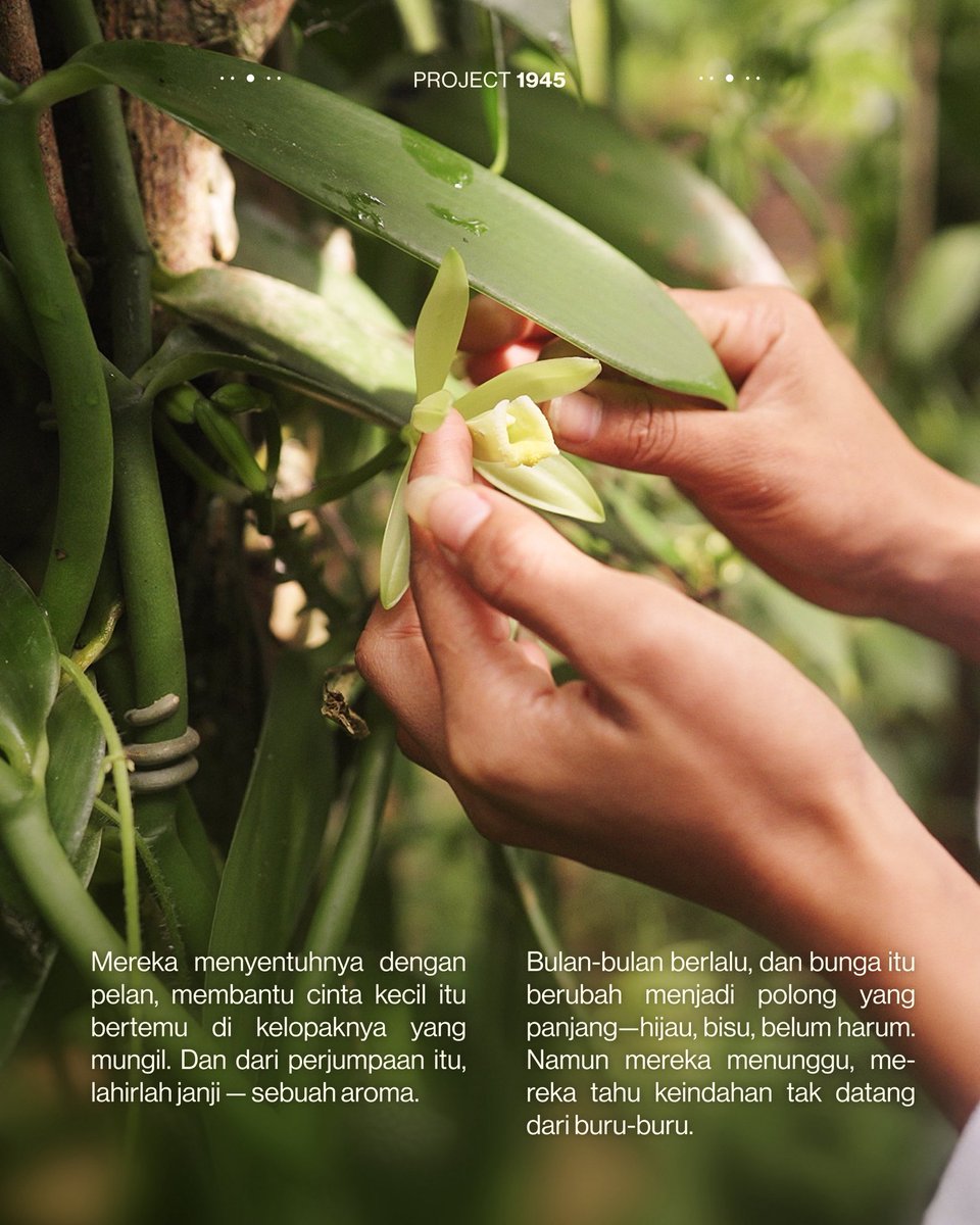 Project1945's tweet image. Your day—Your Way!
Siap untuk perjalanan terbaru lagi? 👀

17.07.2025