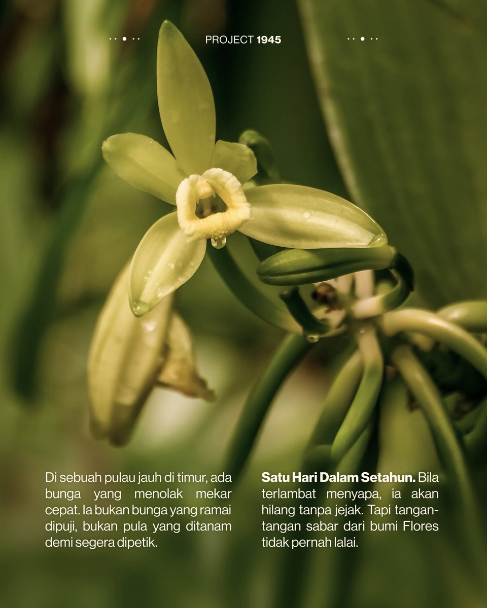 Project1945's tweet image. Your day—Your Way!
Siap untuk perjalanan terbaru lagi? 👀

17.07.2025