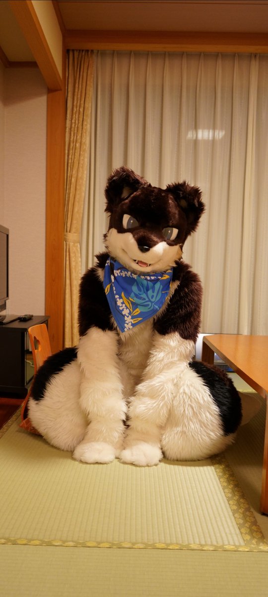 お留守番…

📷@T_nanafuse