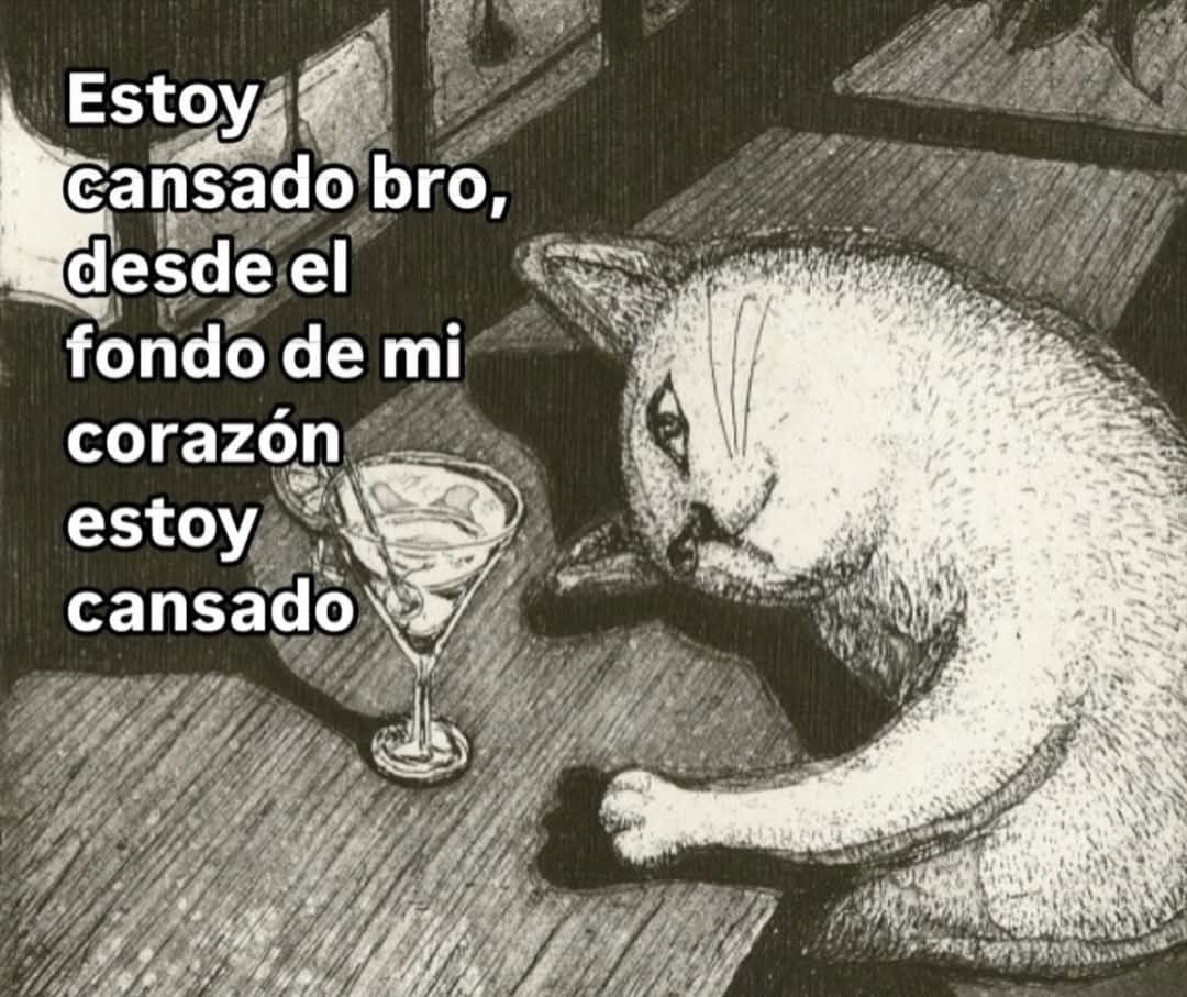 Briagowsky's tweet image. 