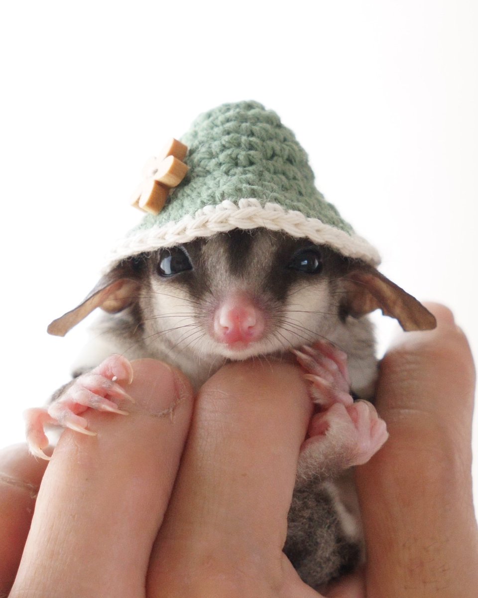 ちゃむ (@N8l7OTwweOmpuUA) / Posts / X