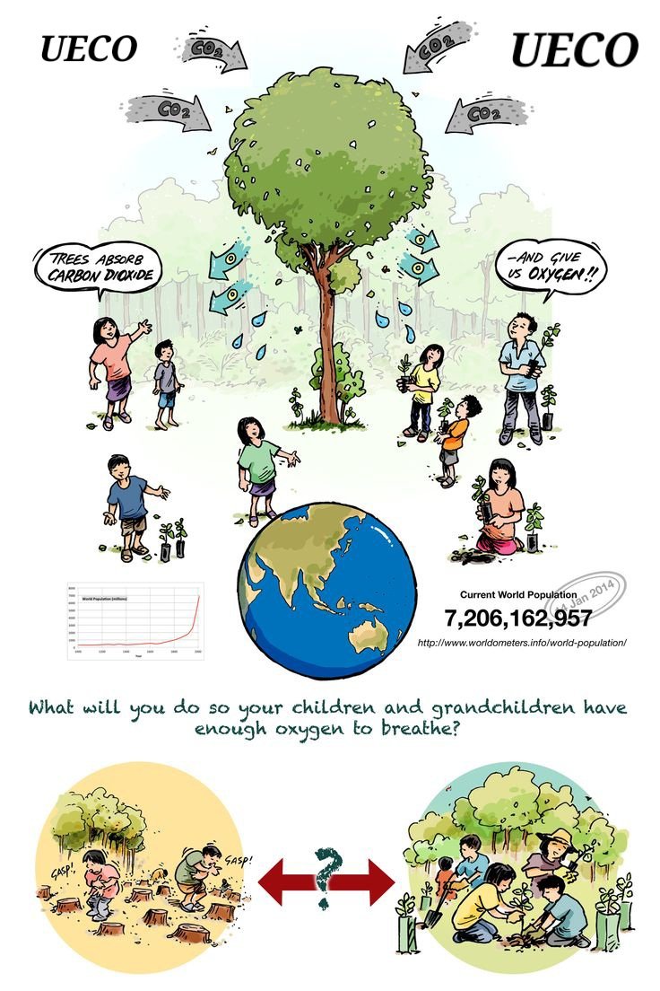 U_E_C_O's tweet image. Planting a tree is believing in tomorrow! Choose tree planting, whether as a company or individual, for a better today, tomorrow, and beyond. Plant more trees for a lasting legacy! UECO